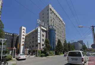 蒲江口碑好的找平石膏质量推荐