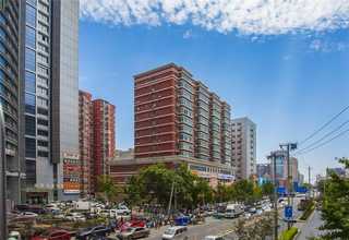 山东名师亲授斫琴哪个学得快